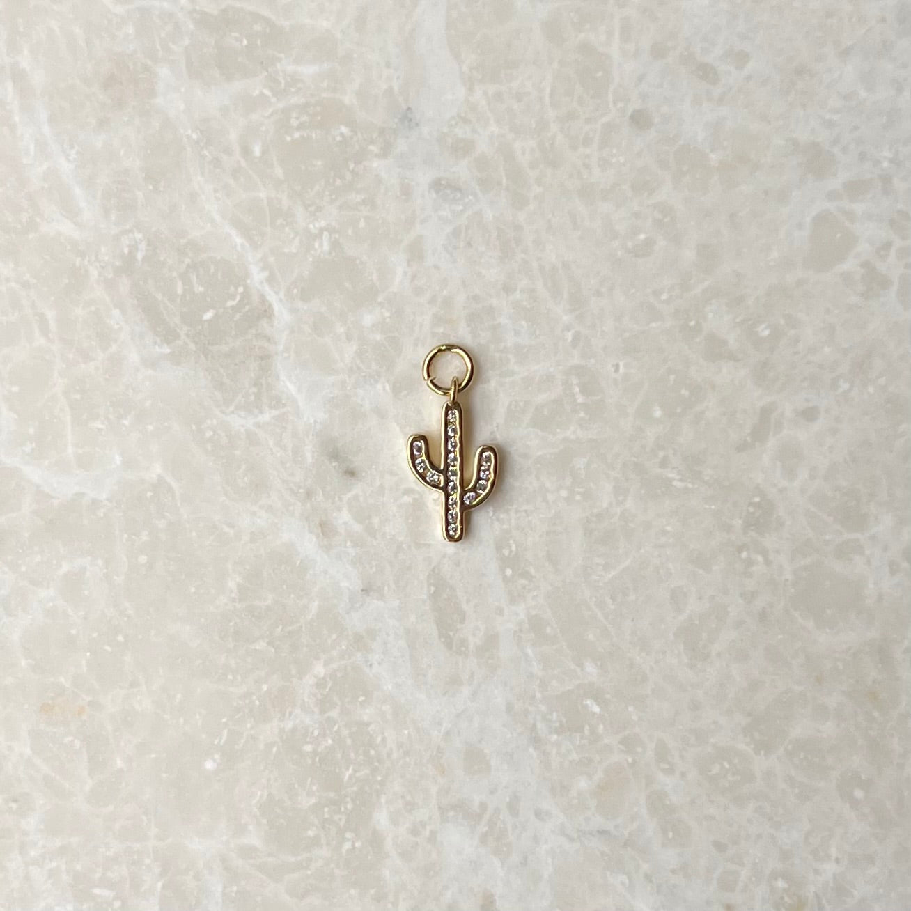 Cactus CZ Charm