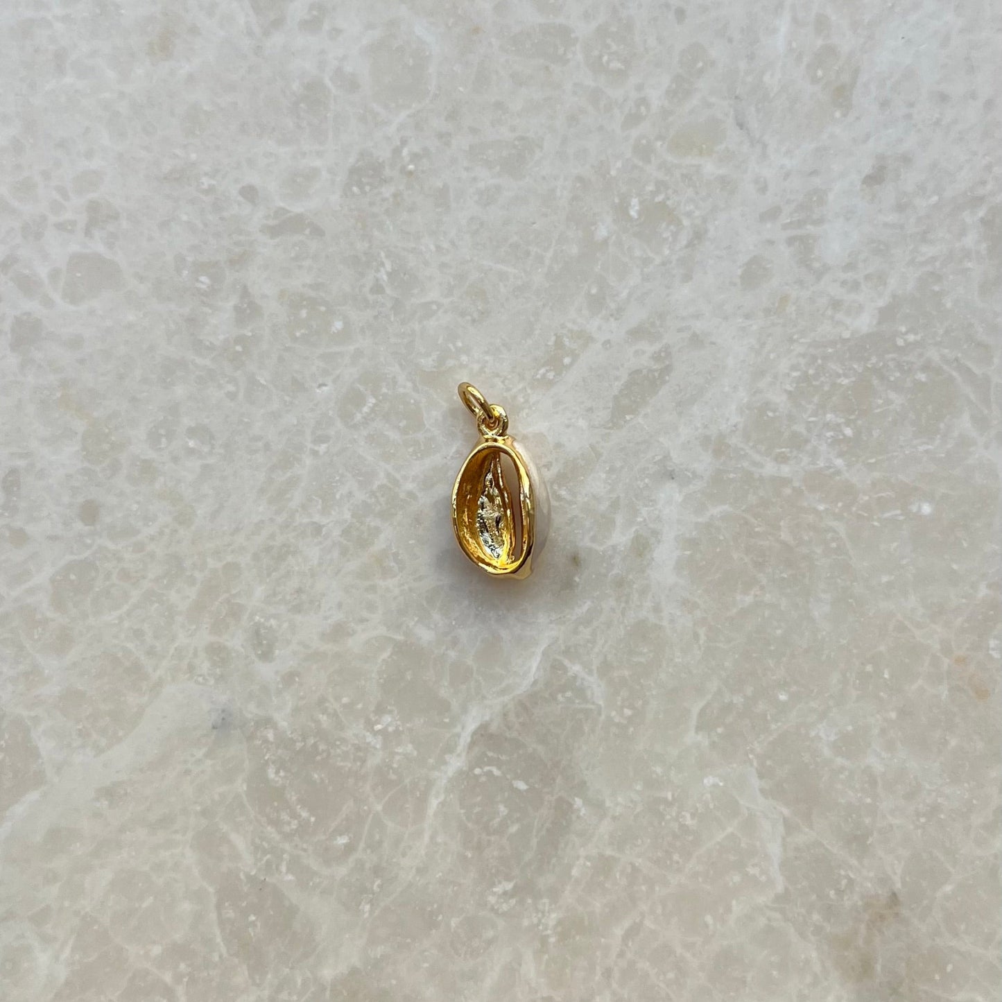 Cowrie Shell Charm