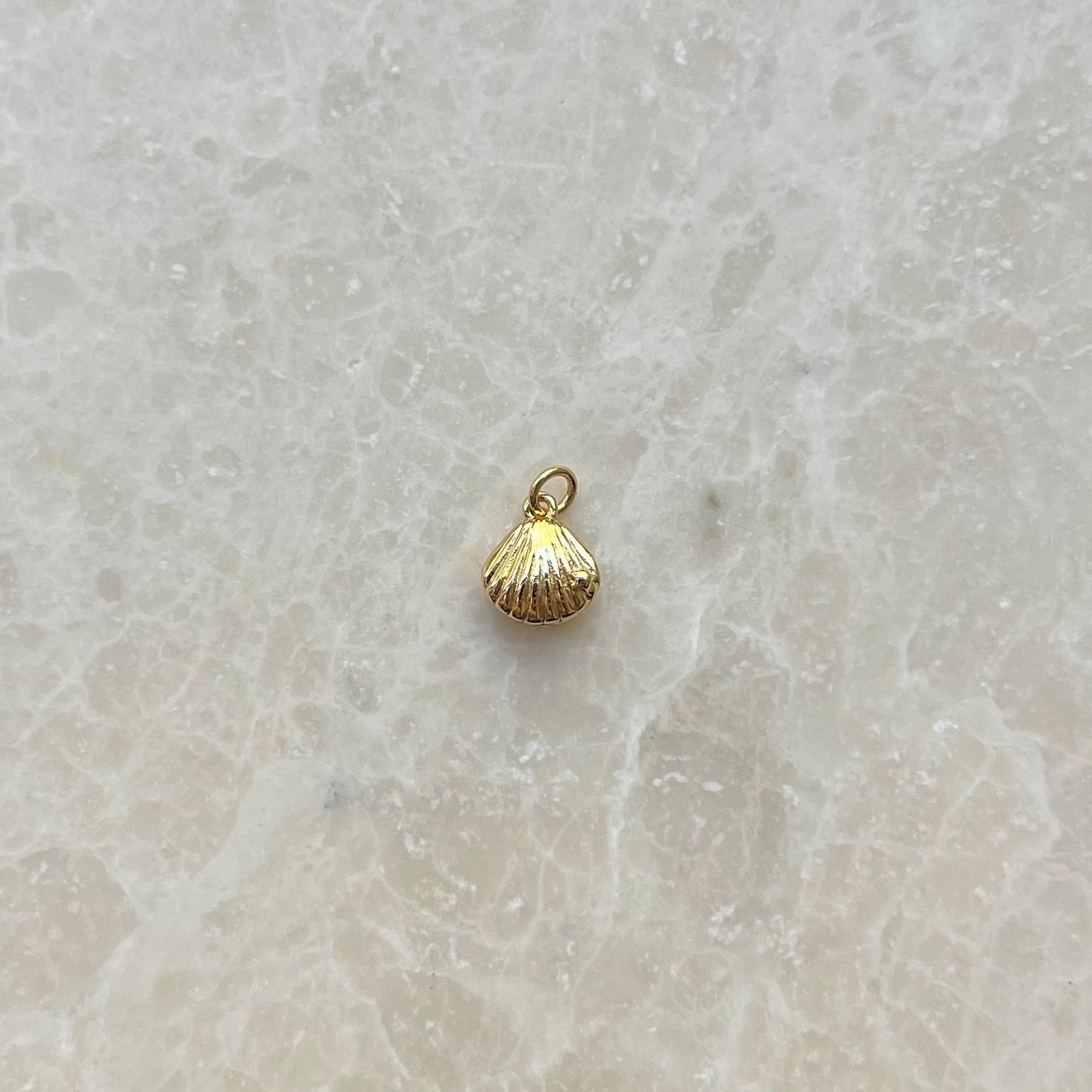 Shell Charm