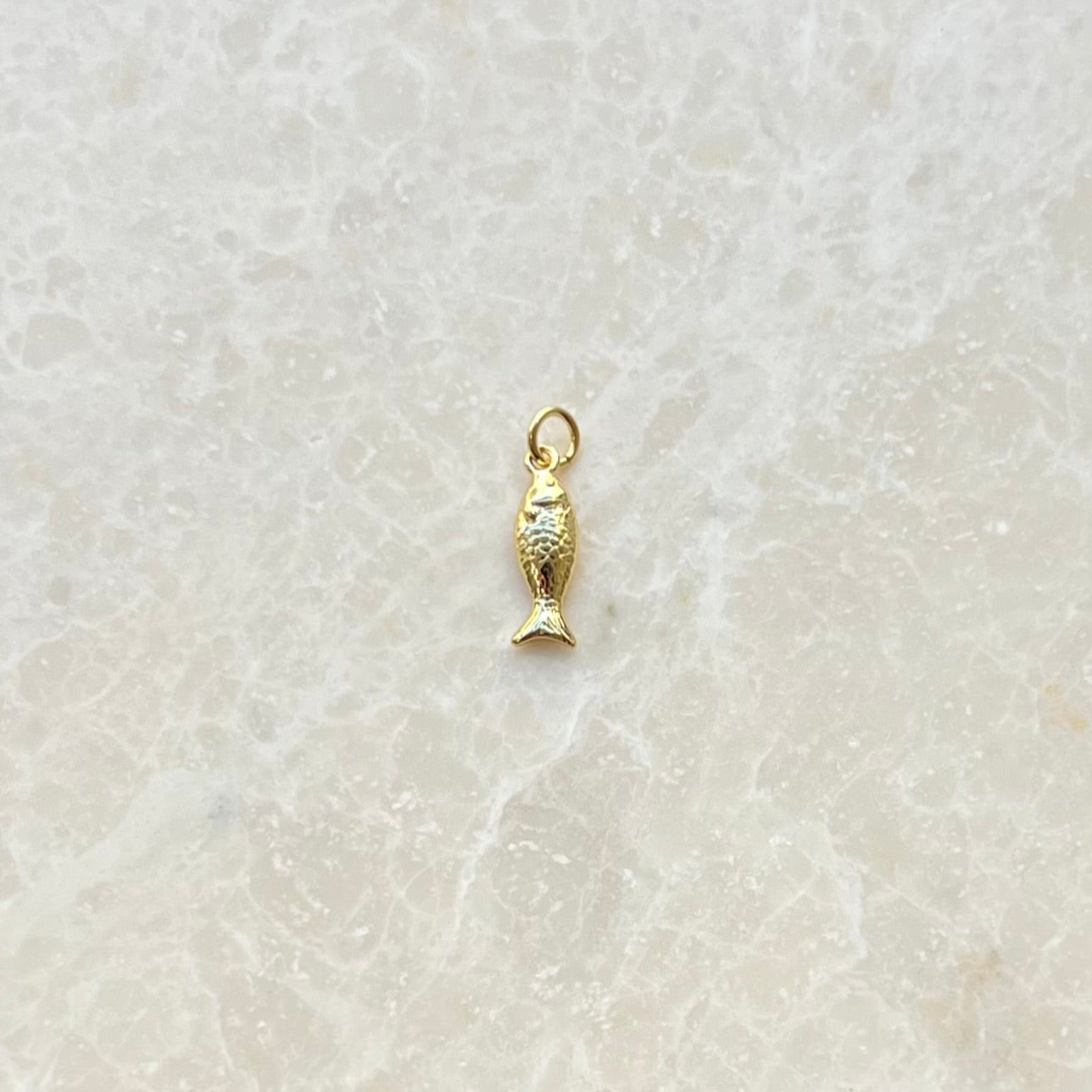 Carmel Fish Charm