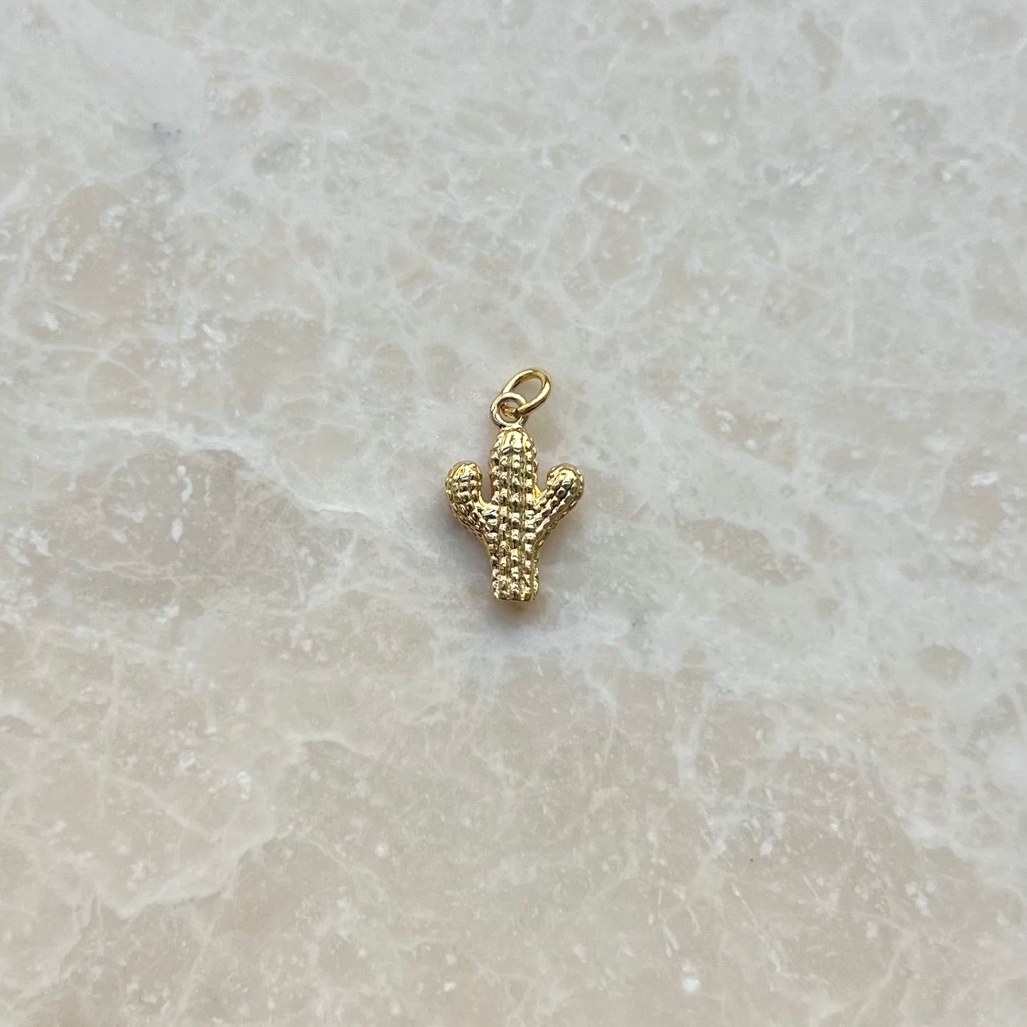 Saguaro Cactus Charm