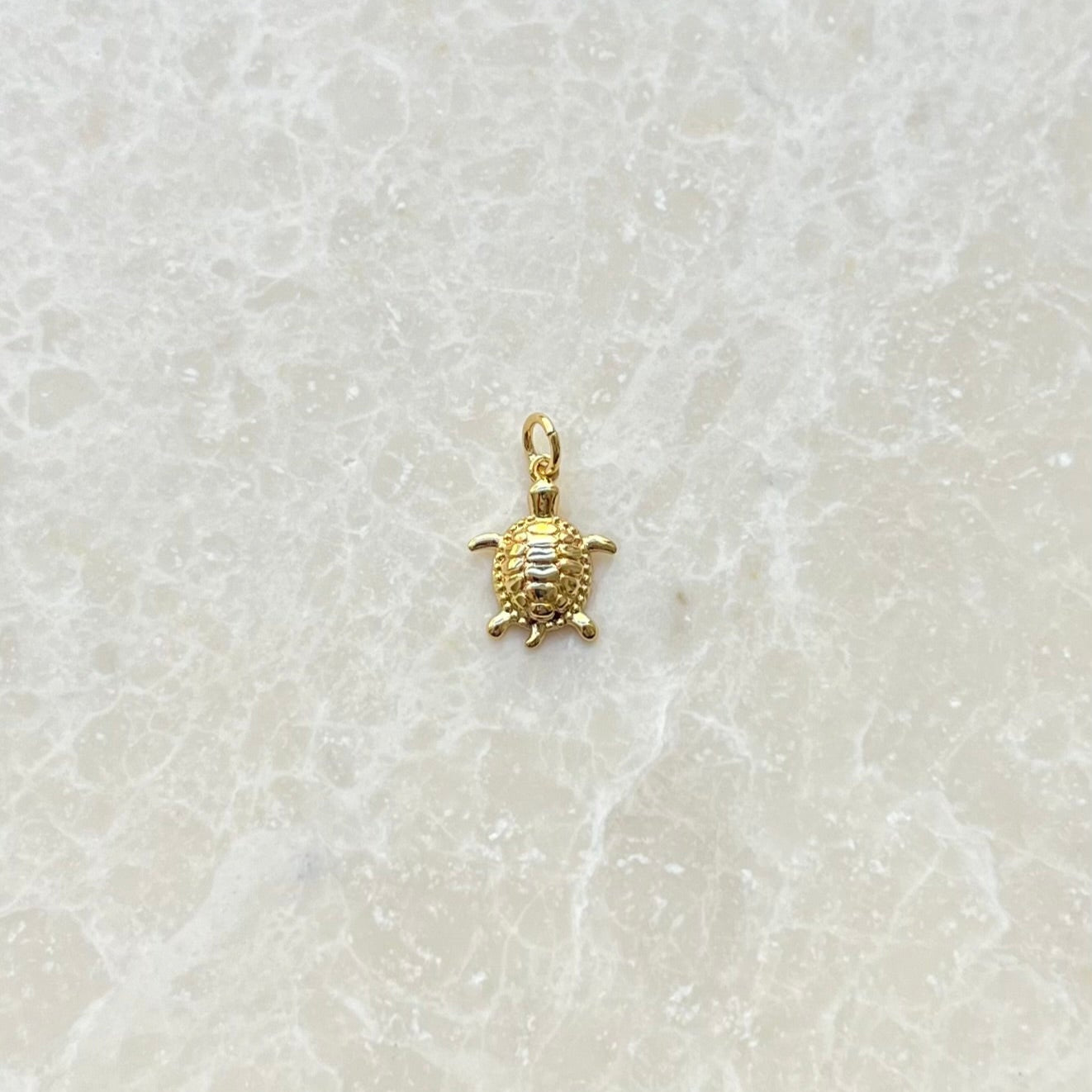 Sea Turtle Charm