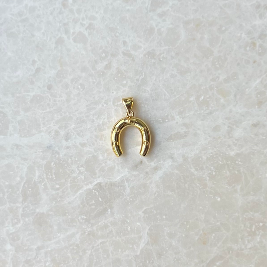 Horseshoe Charm