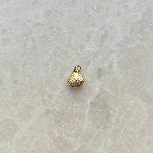Shell Charm