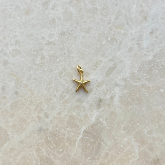 Ochre Sea Star Charm